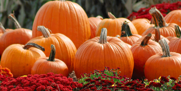 Kansas City Homes & Style Magazine