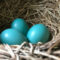 Color Trends: Robin’s Egg