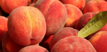 Color Trends ~ Peachy