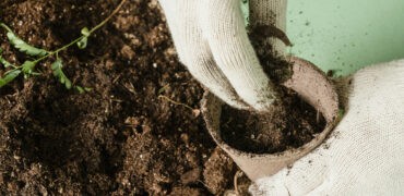 Come On, Compost!