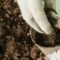 Come On, Compost!