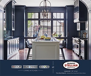 Warners' Stellian Appliance