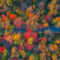 Color Trends: Fall Harvest