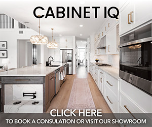 Cabinet IQ