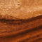 Color Trends: WoodGrain Color Trends: WoodGrain