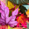 Rustling Leaves